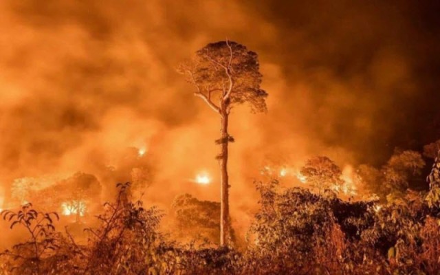 البرازيل ترفض مساعدات مجموعة السبع لإنقاذ "الأمازون"