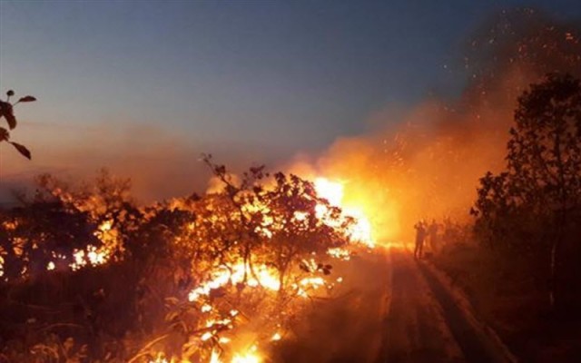 زعماء "مجموعة السبع" تستنفر لدرء أزمة حرائق الأمازون