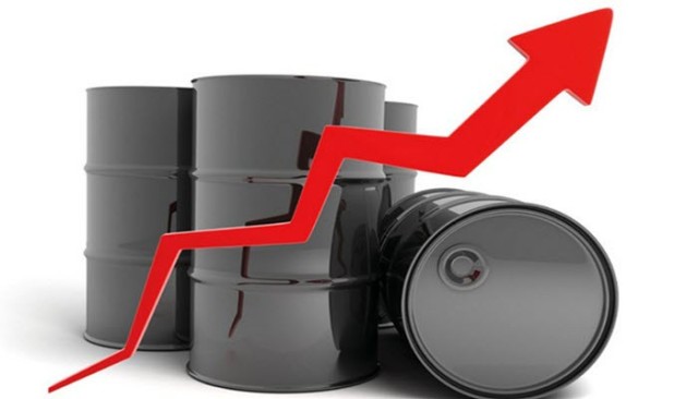 Potential OPEC + meeting boosts oil rally