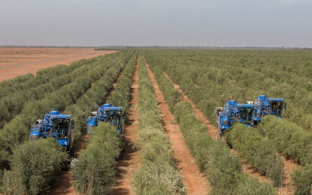 "الجوف الزراعية" تتحول للربحية بالربع الأول