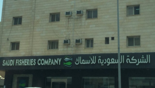 Saudi losses of accumulated fish decline to 15.15%