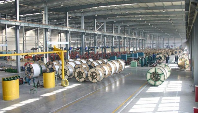 The Saudi Capital Market Authority agrees to reduce the capital of "Wires"