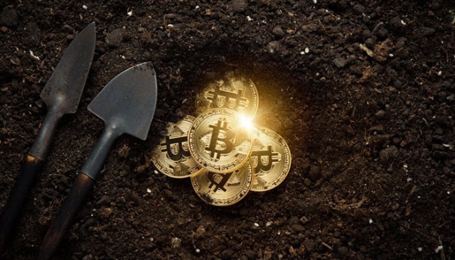 تقرير: اهتمام المستثمرين بالبيتكوين يزداد في 2020 مقارنة بالعام الماضي