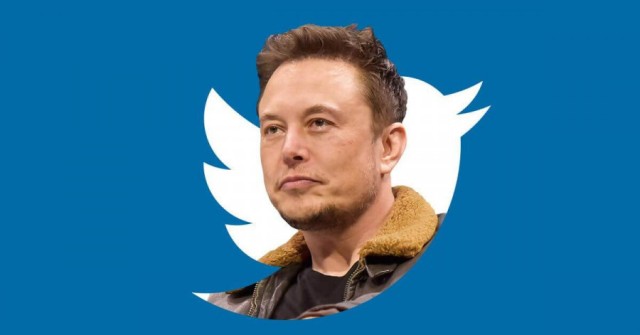 Elon Musk is a Twitter board member