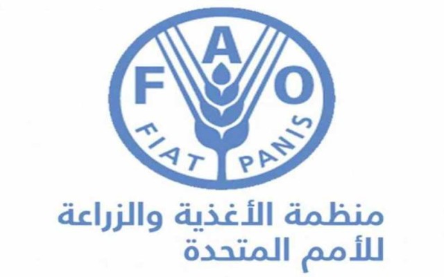 ارتفاع أسعار الغذاء العالمية للمرة الأولى في 5 أشهر