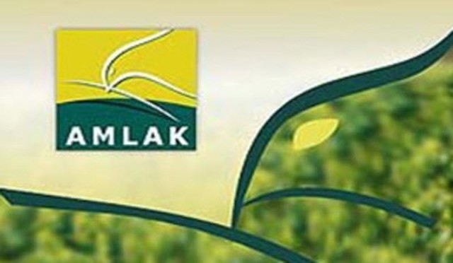 Emirati Amlak continues restructure