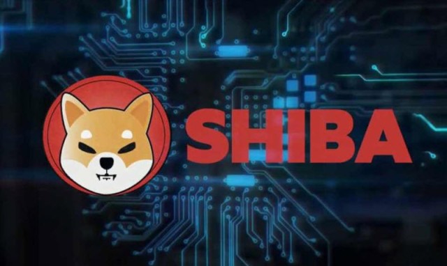 "Shiba Inu" cryptocurrency rises 50% within a day