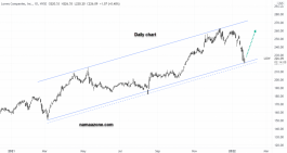 Luz Arrow - January 24