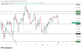 BTC - 11 أغسطس 2026