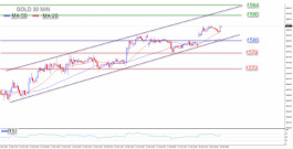 الذهب يستمر بالصعود