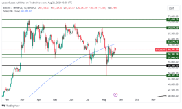 BTC - August 22, 2024