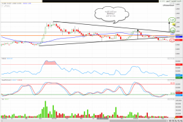 سهم الاتحاد العقاريه