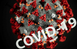 300 ألف إصابة بفيروس كورونا بسبب مؤتمر طبي