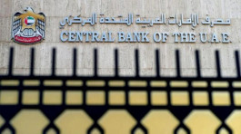 المركزي الإماراتي يحذر من أنشطة احتيالية