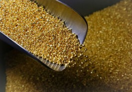 Gold regains luster ahead of US inflation data