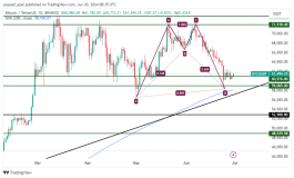 BTC - June 30, 2024