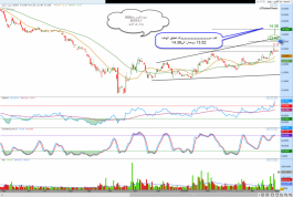 سهم اسمنت ام القرى رقم3005 فى السوق السعودى  
