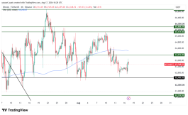 BTC - 17 اغسطس 2026