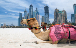 UAE is the favorite destination of Europeans