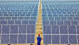 بسبب جائحة كورونا.. الكويت تلغي مشروع "الدبدبة"