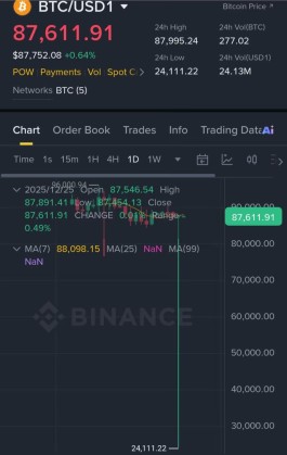 Bitcoin temporarily drops to $24,000 in seconds... What's happening in the market?