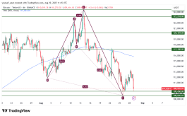 BTC - 29 أغسطس 2025
