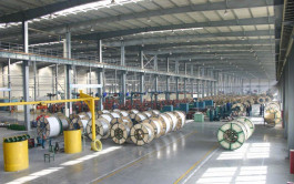 10 million riyals a quarterly profit for Saudi "wires"