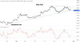 Eli Lilly & Co. - December 13