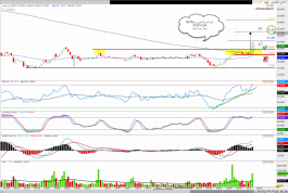 سهم الدرع العربى رقم8070فى السوق السعودى