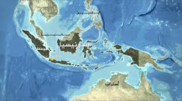 استثمارات إماراتية بإندونيسيا لا تقل عن مليار دولار