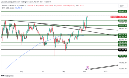 BTC - November 9, 2024