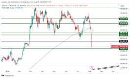 BTC - August 5, 2024