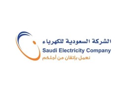 Saudi Electricity Company's profits jump 87% in Q1 2024