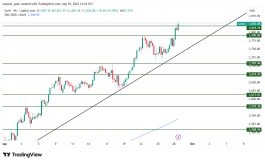 GOLD - 29 سبتمبر 2025