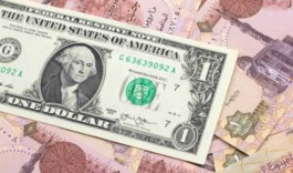 الدولار في مصر يقفز لأعلى من 24 جنيهاً