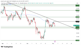 OIL - November 4, 2025