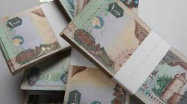 3301  مواطن بلاديون في الإمارات