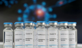 قفزة القط الميت لقطاع البيوتكنولوجي من 24 مليار الى ترليون دولار!!