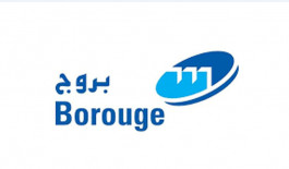 Borouge's profit fell 14% in the first quarter