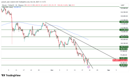 BTC - 20 نوفمبر 2025