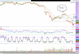 دله الصحه رقم4004فى السوق السعودى