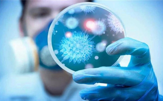 "الصحة العالمية": بدأنا نتعرف على صورة أوضح حول تطور انتشار كورونا