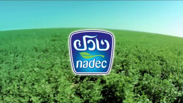 17.35 million riyals, "Nadec" losses in the second quarter