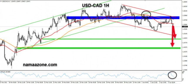 الدولار الامريكي يسجل إنخفاضات أمام الكندي