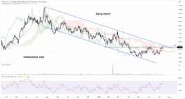 XPEL Stock - July 16