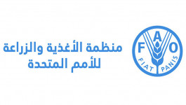 أسعار الغذاء عند أعلى مستوى في 10 سنوات