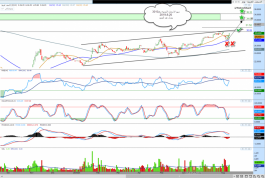 سهم الاسمنت العربيه رقم3010فى السوق السعوددى