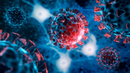 Travel is deteriorating ... Corona restrictions are imposed again