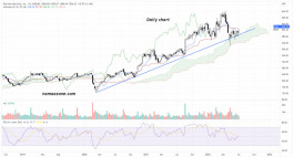 Palo Alto Networks (PANW) - Jul 08