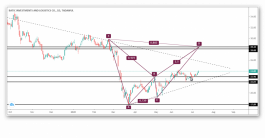 Saudi Patek share and the possibility of a rise